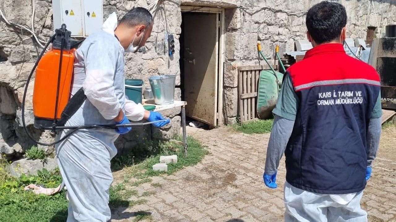 Kars'ta İlçe Tarım ve Orman Müdürlüğü ekipleri sahada: Yayıklı Köyü'nde dezenfeksiyon ve kontrol çalışması görseli