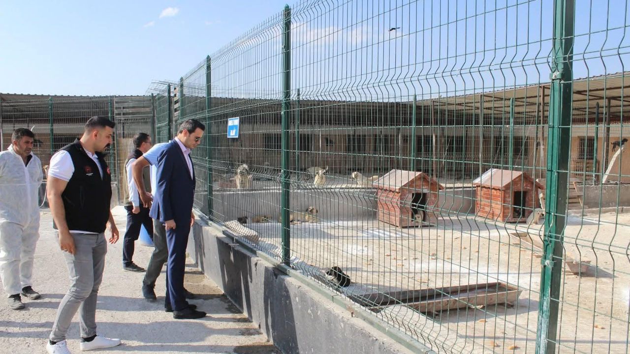 Selim Kaymakamı Mehmet Ali Semiz'den hayvan barınağına ziyaret görseli