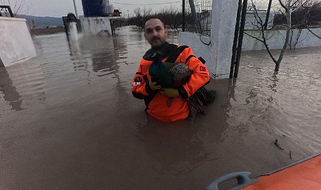İzmir İtfaiyesi sessiz canlar için zamanla yarıştı görseli