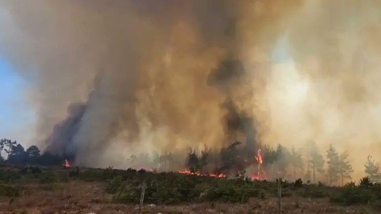 Düzce Yığılca’da orman yangını: Müdahale devam ediyor görseli