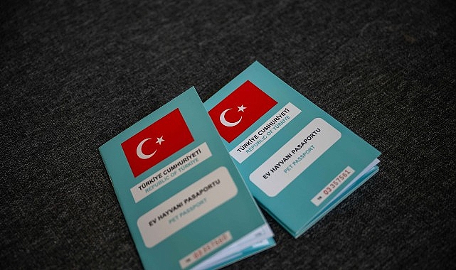 Bornova’da kırsalda sahiplendirme seferberliği görseli