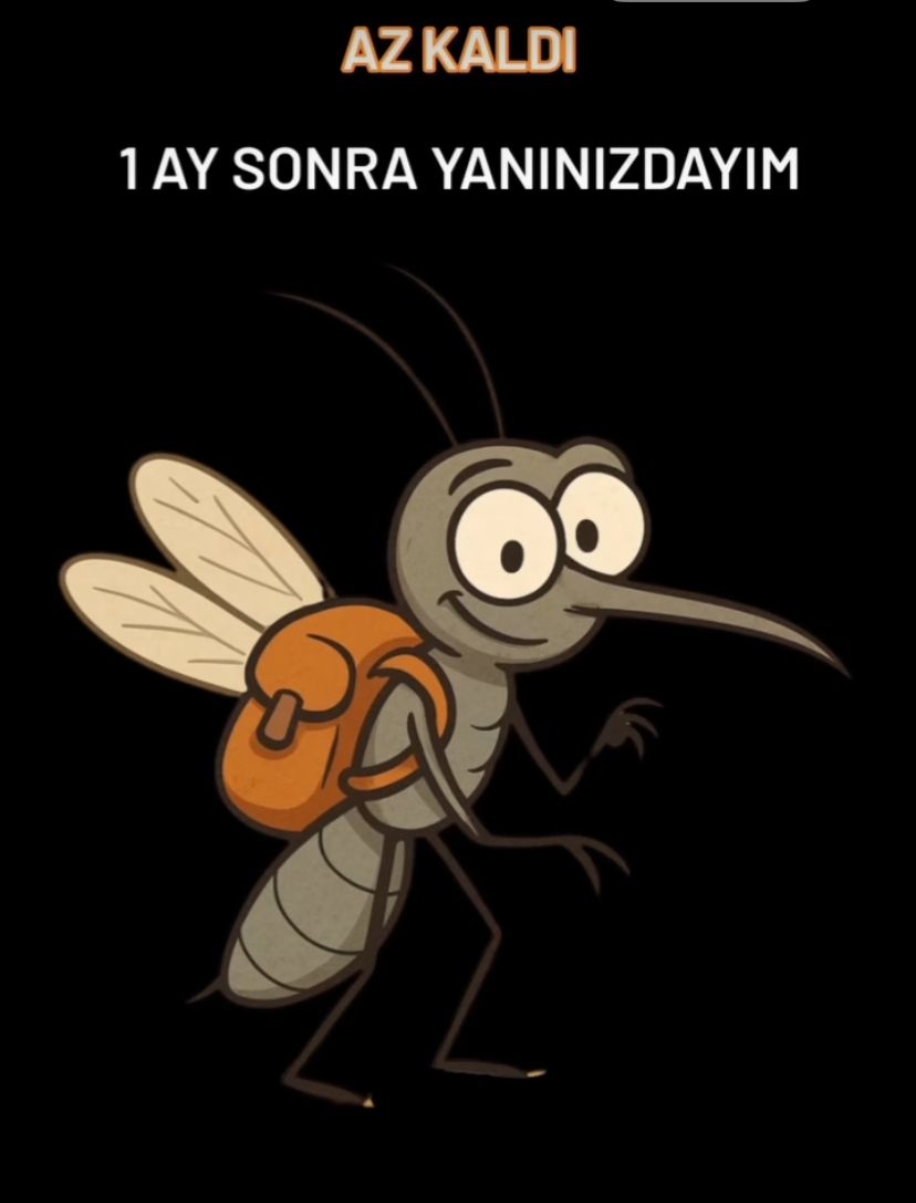 Sivrisineklerden Kurtulmanın Doğal Yolları görseli