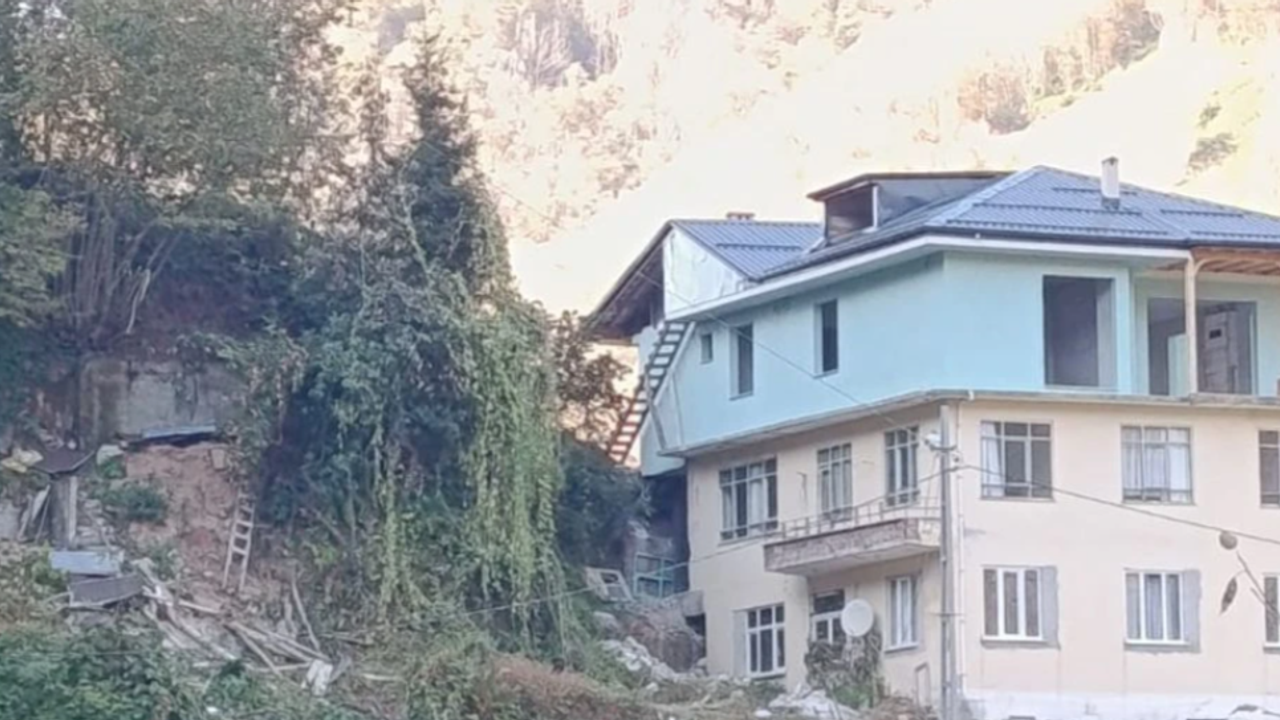 Köyde arı kovanlığı çöktü: 2 kişi hayatını kaybetti görseli