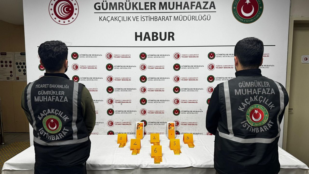 Habur Gümrük Kapısı’nda 41 kilogram altın ele geçirildi görseli
