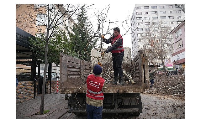 Keçiören’de Budama Çalışmasıyla Yeşil Örtü Korunuyor görseli