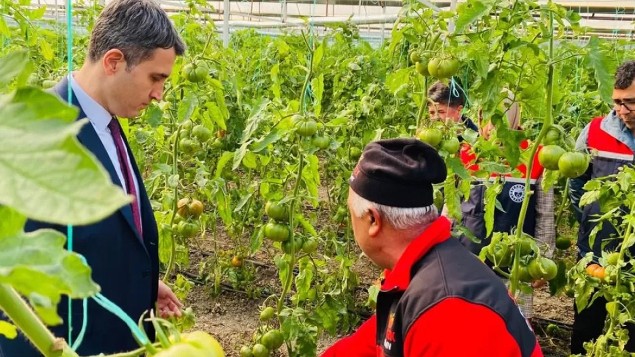 Çamlık’ta tarıma yerinde destek ziyareti görseli