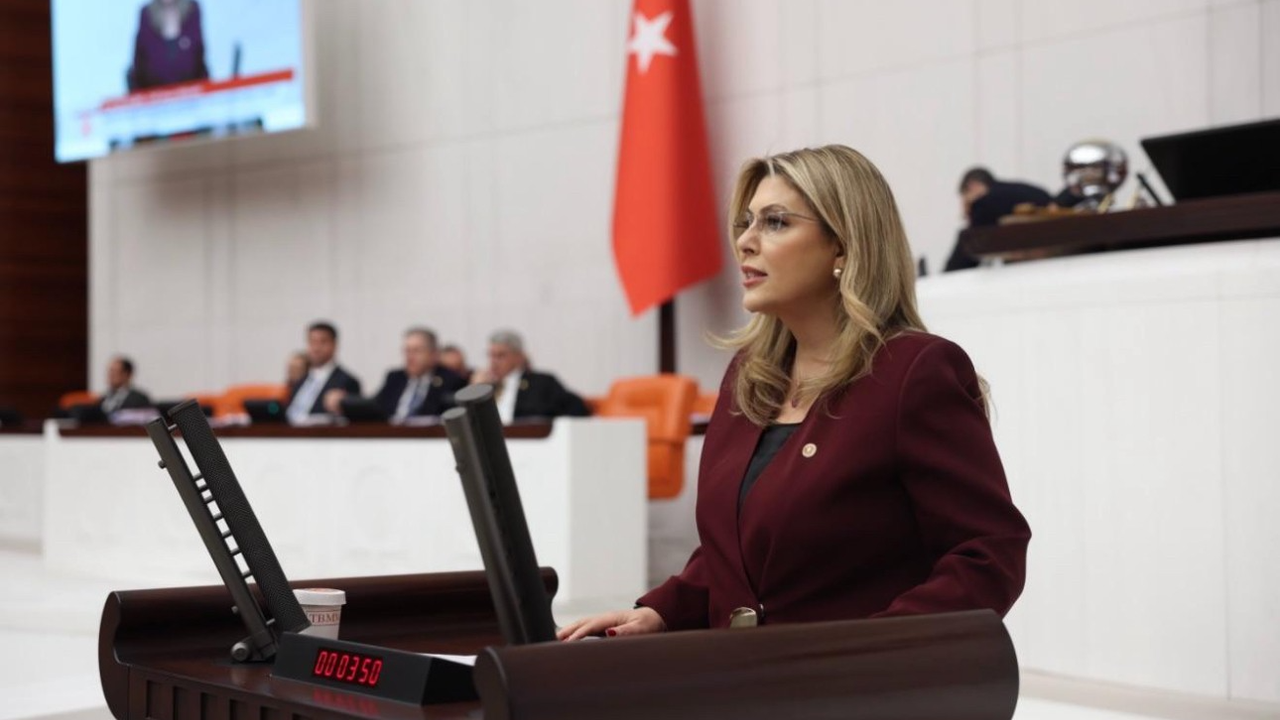 Elvan Işık Gezmiş; Bu bütçe halkın bütçesi değil görseli