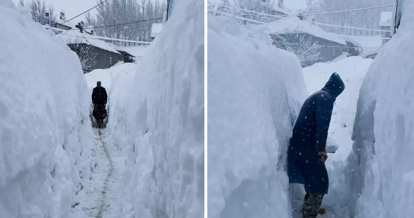 Tunceli Beyaza Teslim: Evler Kar Altında Kayboldu! görseli