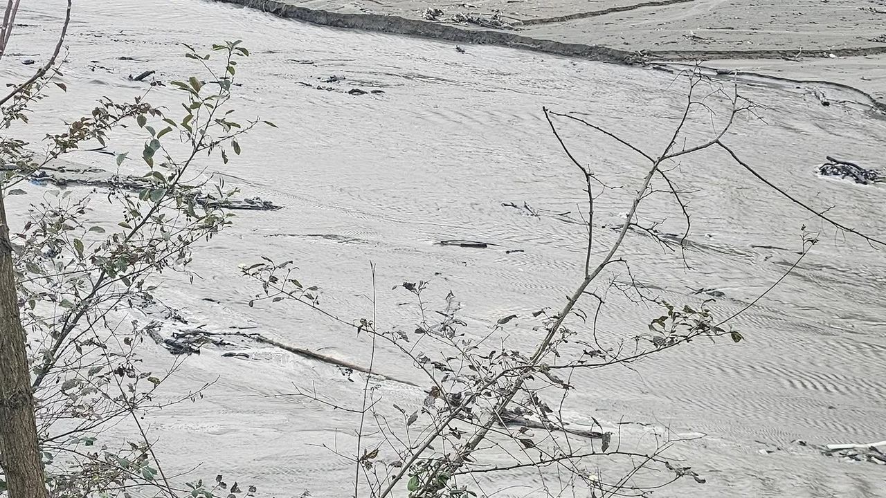 Harşit Çayı'nda tehlike çanları çalıyor görseli