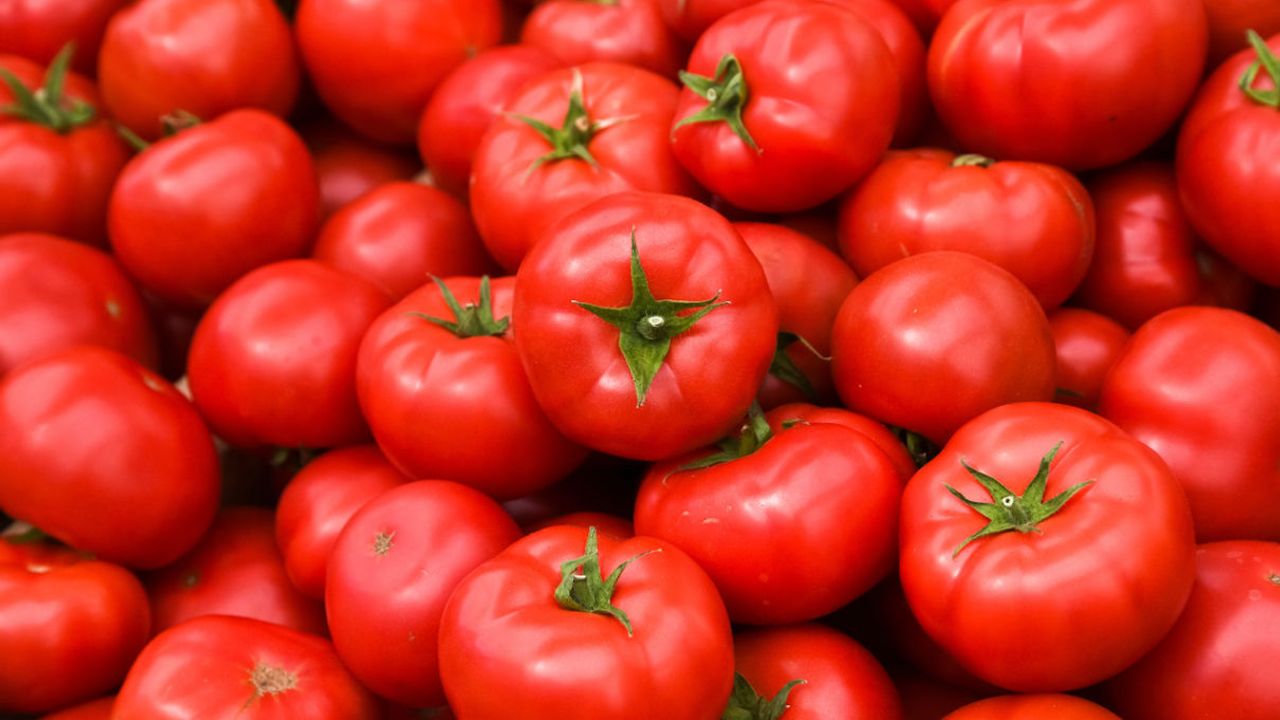Domates ihracatı 2025’te 401 milyon doları aştı görseli