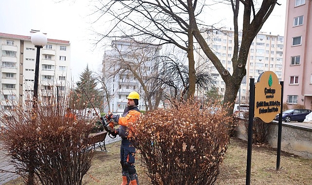 Çankaya’da Budama Çalışmaları Bahar Öncesi Hız Kazandı görseli