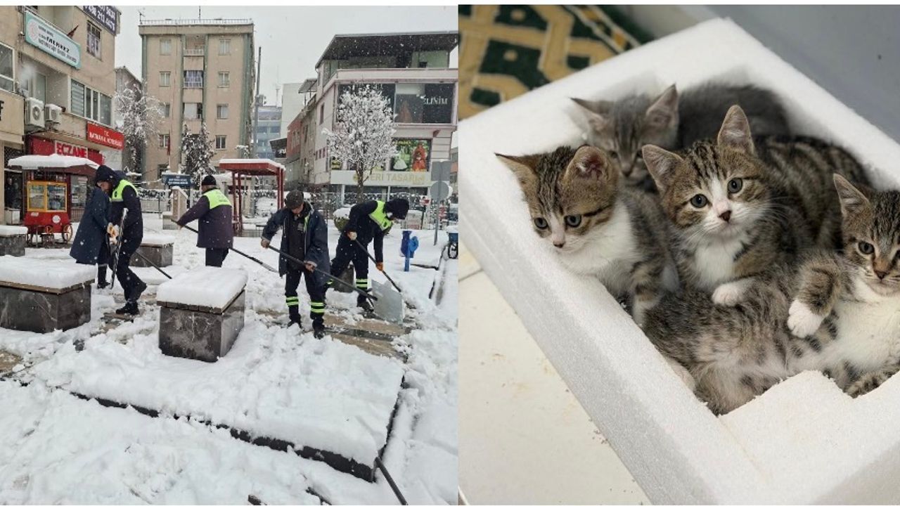 Belediye emekçileri yoğun kar yağışına karşı seferber oldu görseli