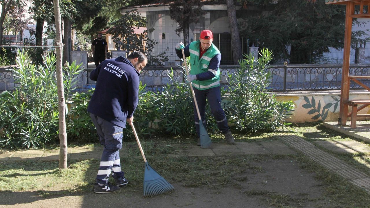 Giresun Belediyesi saha çalışmalarına devam ediyor görseli