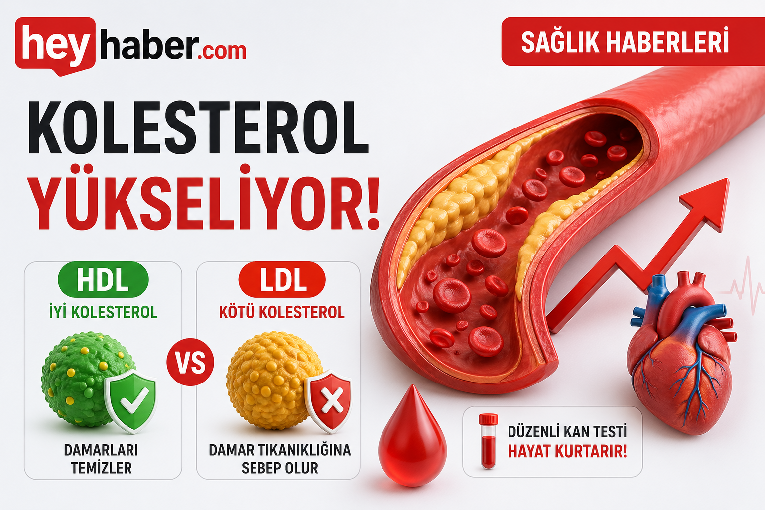 Kolesterol Sessizce Yükseliyor: Belirtiler Neler? görseli