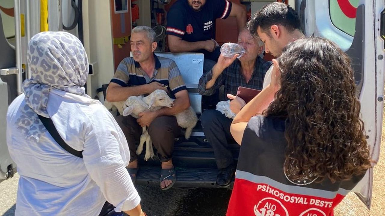 Yangın Bölgesindeki Hanelere 12 milyon yardım görseli