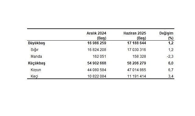 Hayvancılık İstatistikleri, Haziran 2025 görseli