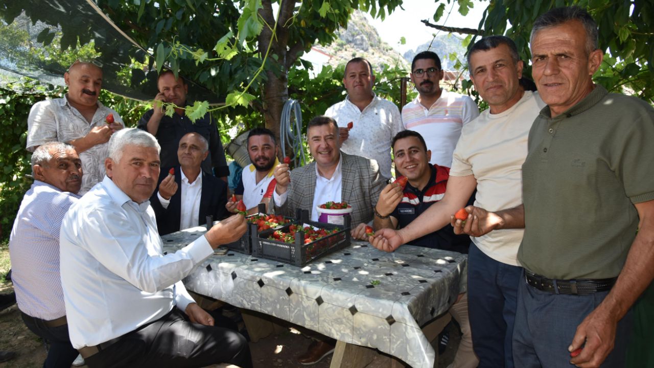 Eğirdir‘de topraksız toprakla çilek hasadı başladı görseli
