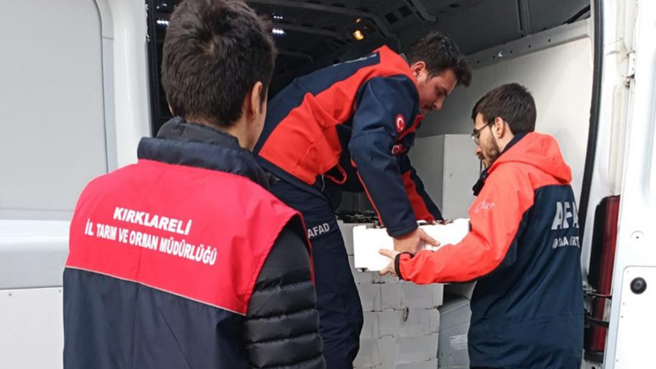 Kırklareli İğneada’da 3 ton kaçak istavrite el konuldu görseli