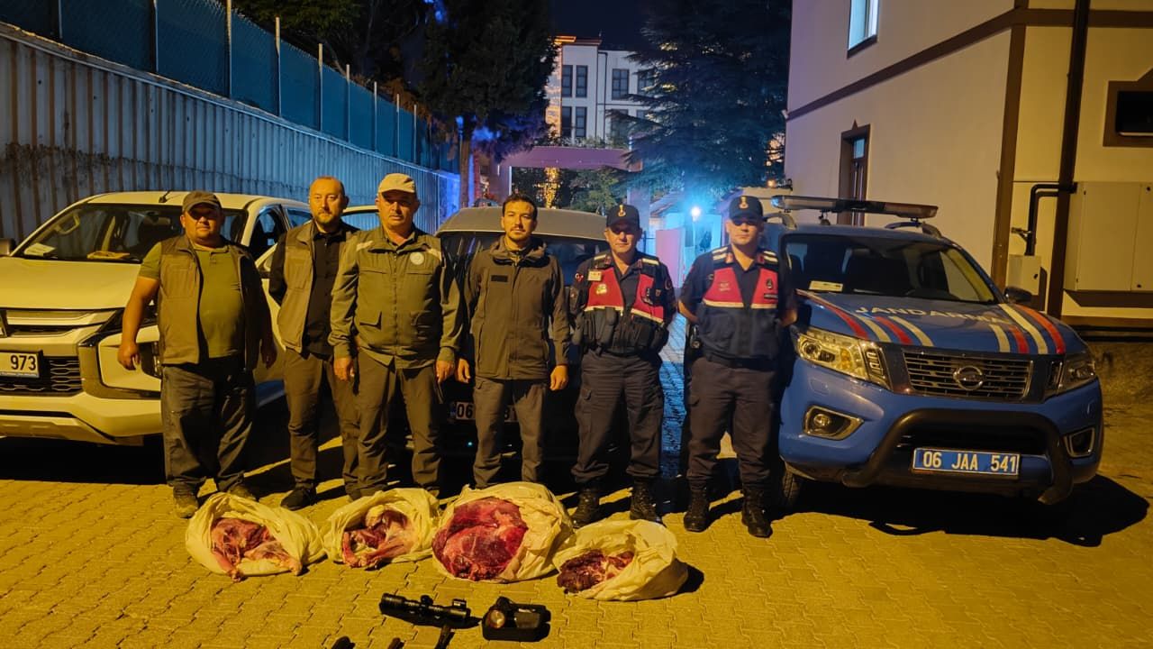 Kaçak Geyik avcılarına 580 Bin TL para cezası görseli