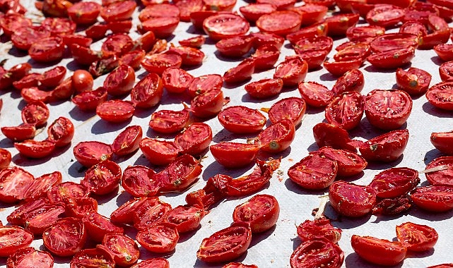 Kuru domates ihracatı 100 milyon doları aştı görseli