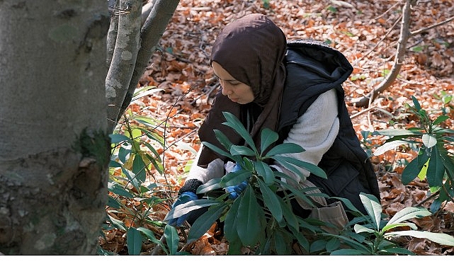 Kuzuyayla'da mantarların gizemli dünyası keşfedildi görseli