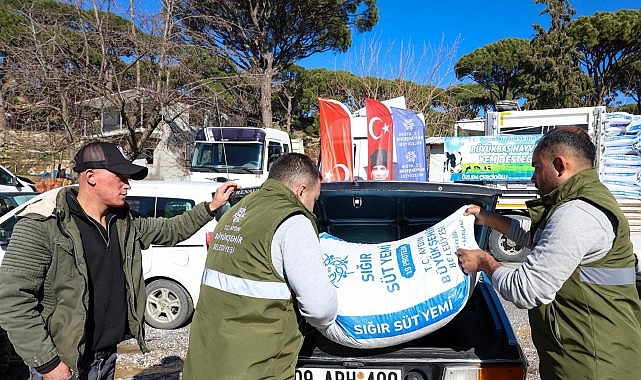 Aydın Büyükşehir Belediyesi’nin Küçük Üreticilere Yem Destekleri Devam Ediyor görseli