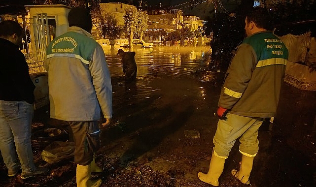 Kemer’de temizlik çalışmaları devam ediyor görseli