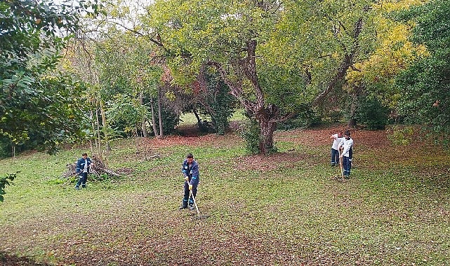 Darıca Millet Bahçesi'nde temizlik seferberliği görseli