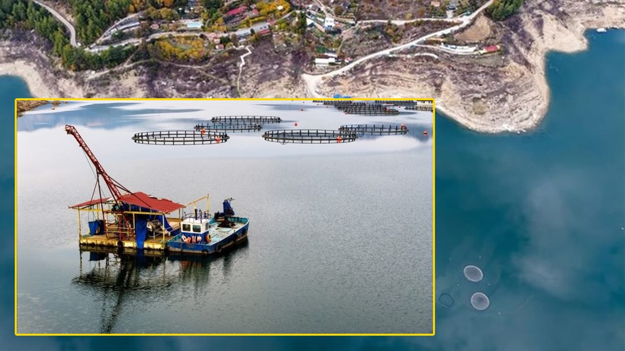 Karacaören Barajı’nda balıkçılık canlanıyor görseli