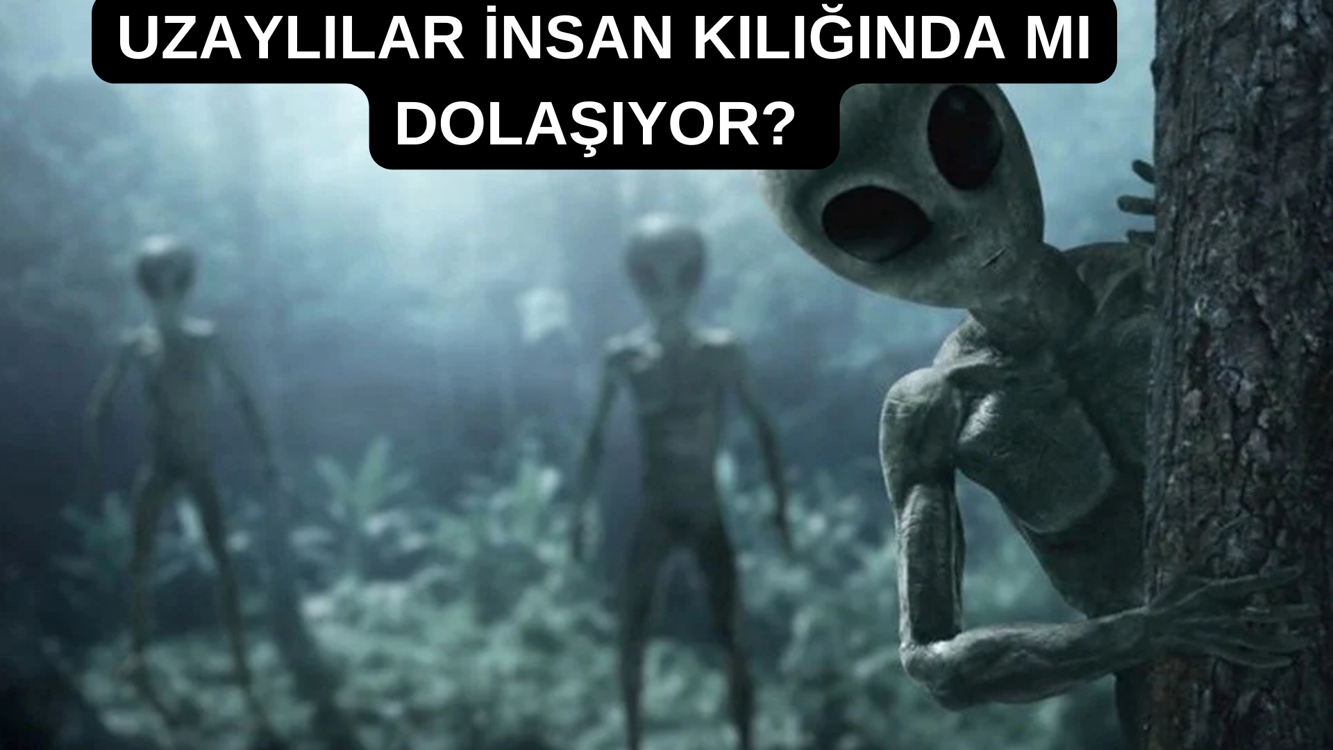 Uzaylılar İnsan Kılığına Girebiliyor Mu? görseli