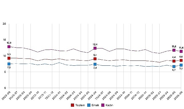 Mevsim etkisinden arındırılmış işsizlik oranı yüzde 8,6 seviyesinde gerçekleşti görseli