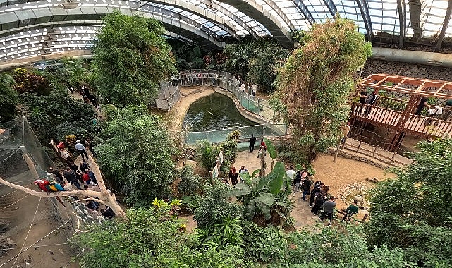 İzmir Doğal Yaşam Parkı’na ziyaretçi akını görseli