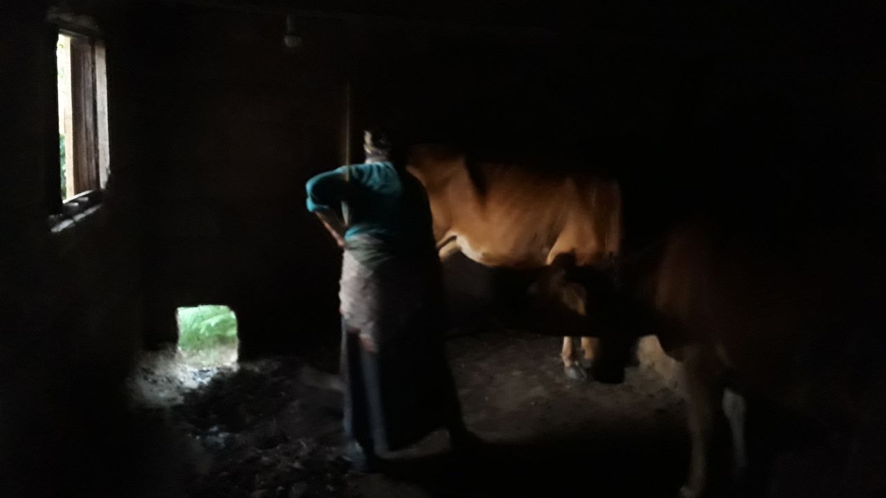 Karadeniz kadınının bitmeyen çilesi görseli