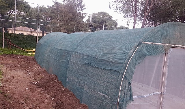 Bergama Belediyesi’nden atıktan hayata dönüşen çevre hamlesi görseli