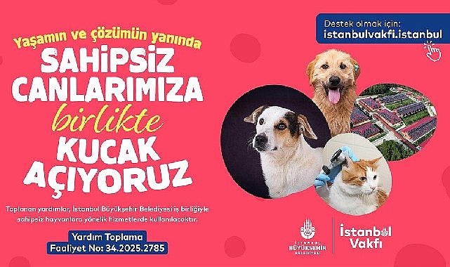 İstanbul Vakfı'ndan sahipsiz can dostlarımıza destek çağrısı görseli