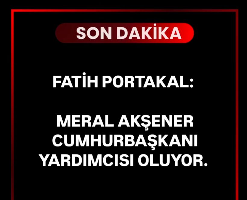 Meral Akşener, Cumhurbaşkanı Yardımcısı mı Oldu? görseli