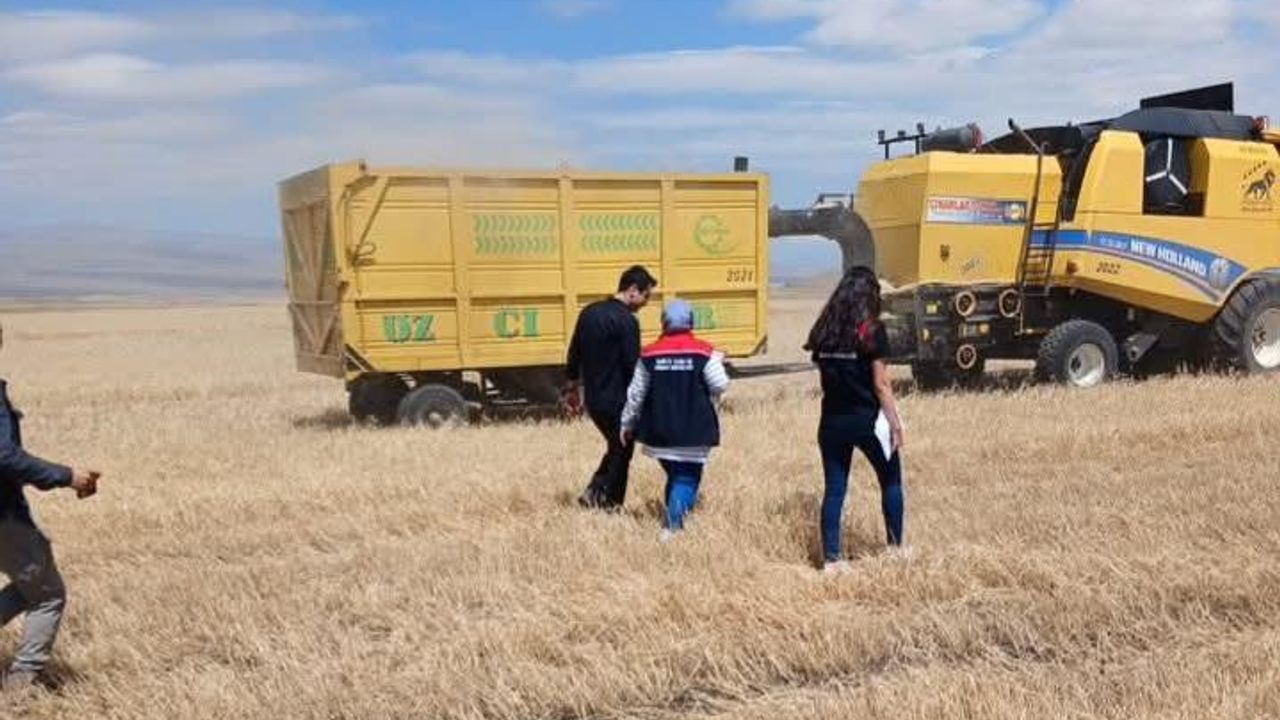 Kars'ta hasat sezonu için biçerdöver kontrolleri hız kesmeden devam ediyor görseli