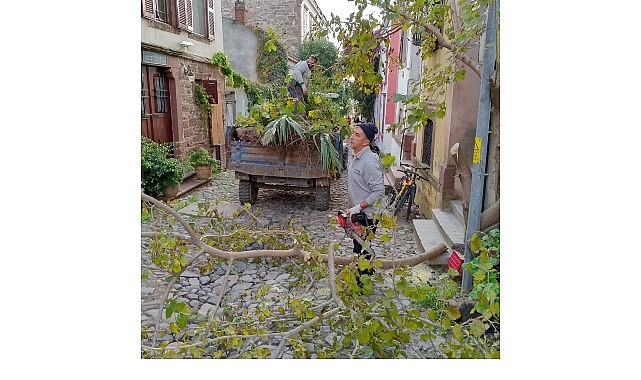 Ayvalık’ta Kışa Hazırlık… görseli