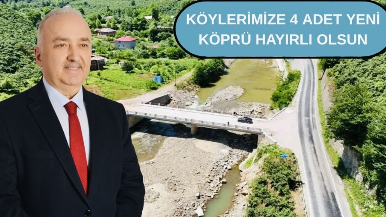 Milletvekili Ali Temür köprü ve yolların yapılacağını açıkladı görseli