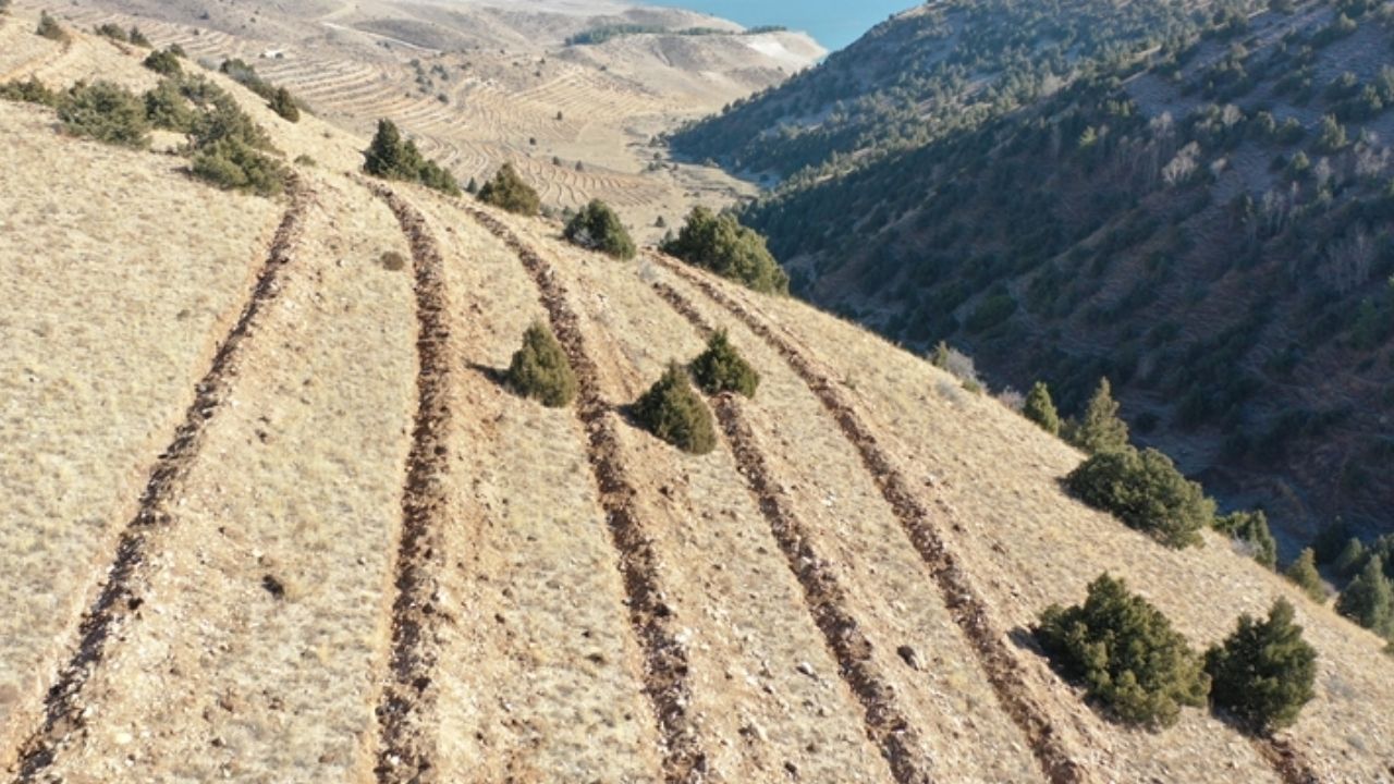 Doğu Anadolu’da yaklaşık 9 milyon fidan ve tohum toprakla buluşturuldu görseli