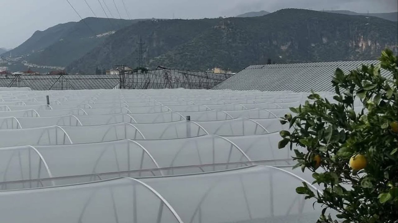 Antalya Demre’de hortum seraları vurdu görseli