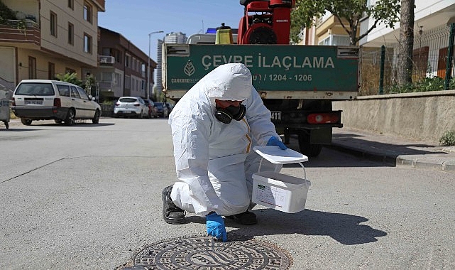 Çankaya Köşe Bucak İlaçlanıyor görseli