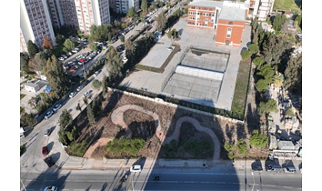 Betonun arasından orman çıktı görseli