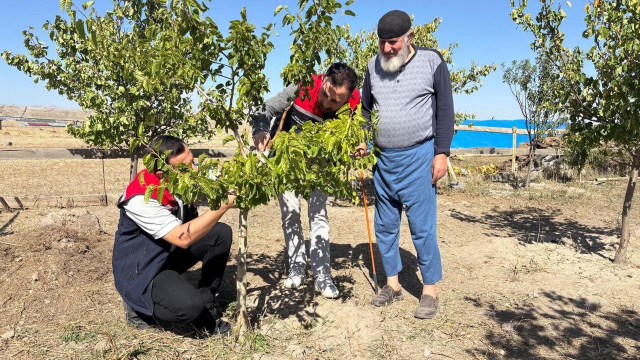 Bacalı Köyü'nde durgun T göz aşısı uygulaması ve takip çalışmaları yapıldı görseli