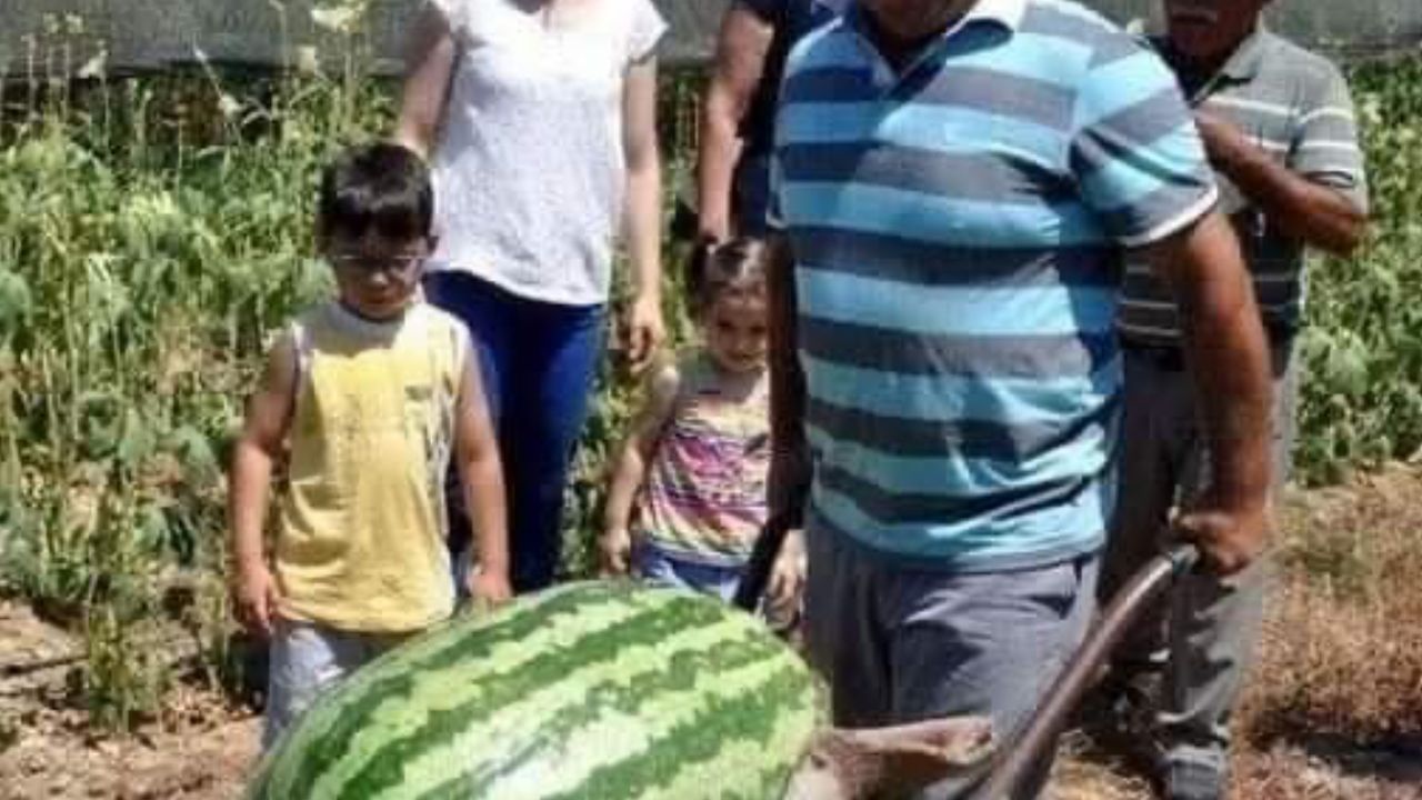 Manavgat'ta dev karpuz! 58 kiloya ulaştı görseli