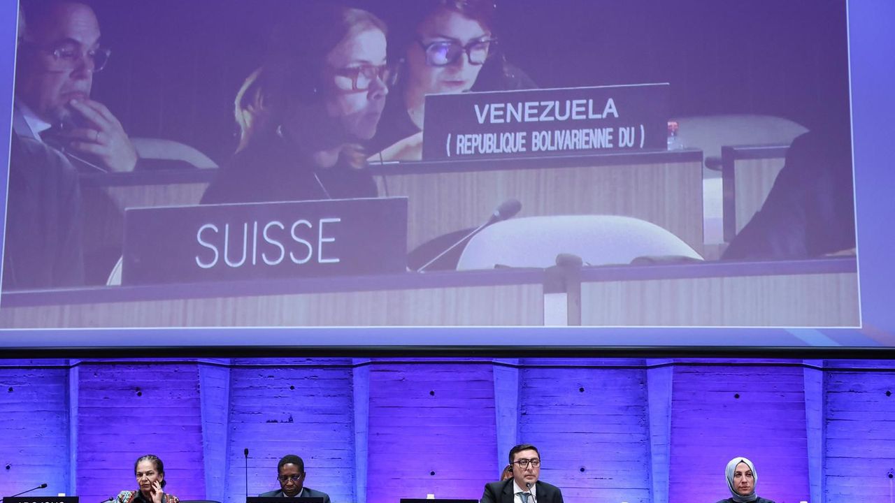 Türkiye, UNESCO Sporda Dopinge Karşı Uluslararası Sözleşmesi Yönetim Kuruluna yeniden seçildi görseli