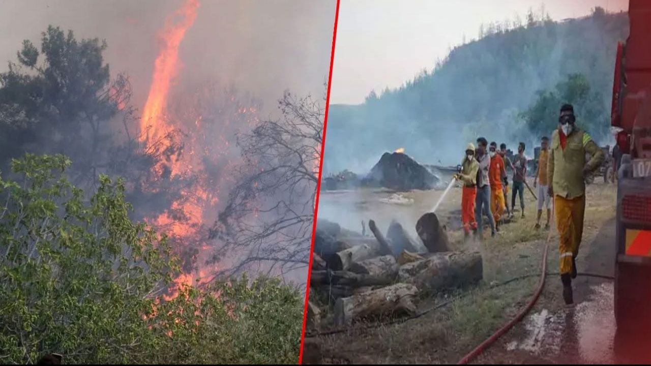 Antalya’da 9 günde 14 orman yangını! 45 hektar alan zarar gördü görseli