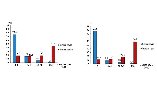 Girişim Özelliklerine Göre Dış Ticaret İstatistikleri, 2024 görseli