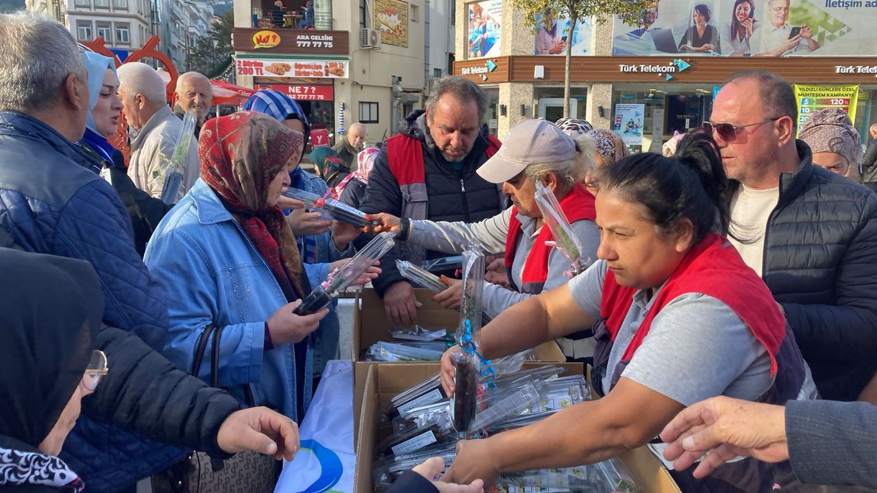 Ordu'da 2 bin adet fidan toprakla buluştu görseli