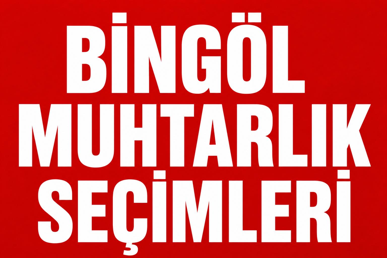 BİNGÖL’DE MUHTARLIK SEÇİMLERİNDE YEREL DENGELER! görseli